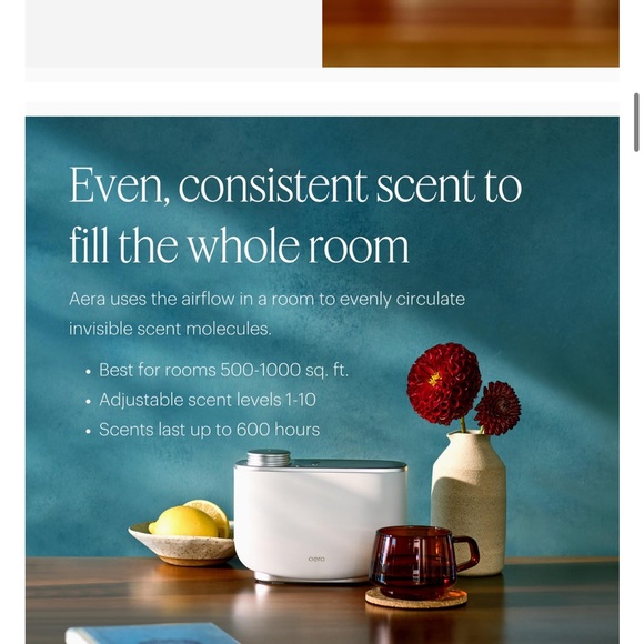 Large Aera Diffuser - Picture 5 of 7